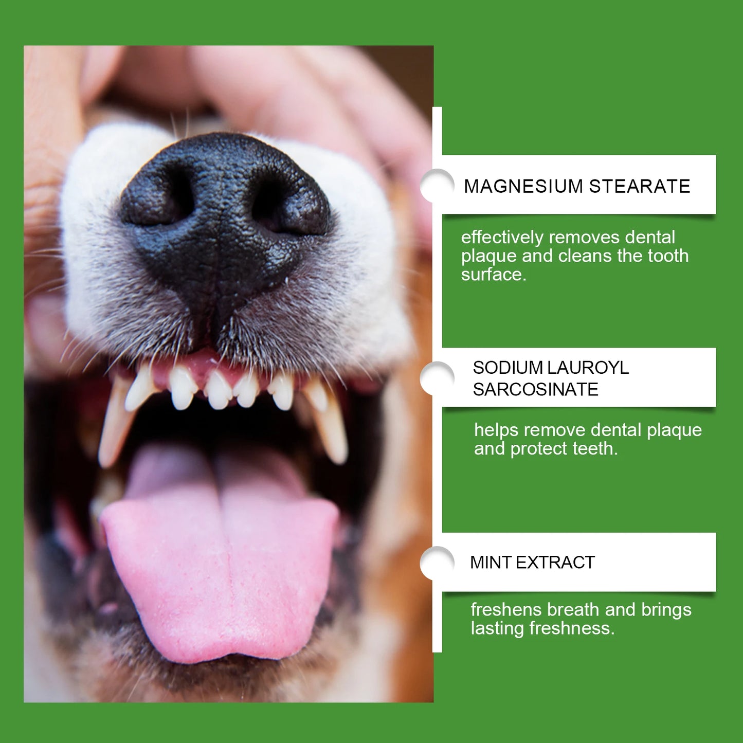 Yegbong 150g Dog Teeth Cleaning Powder - Gentle Dental Care for Pets - Removes Tartar, Stains & Bad Breath - Whitens Teeth