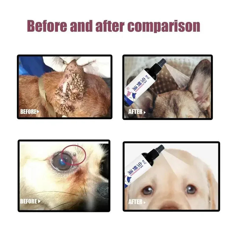 Pet Dog Cat Anti Flea Drops 100ml Insectcide Flea Lice Insect Remover Spray Flea And Tick Concentrate Formula Pet Flea Remover