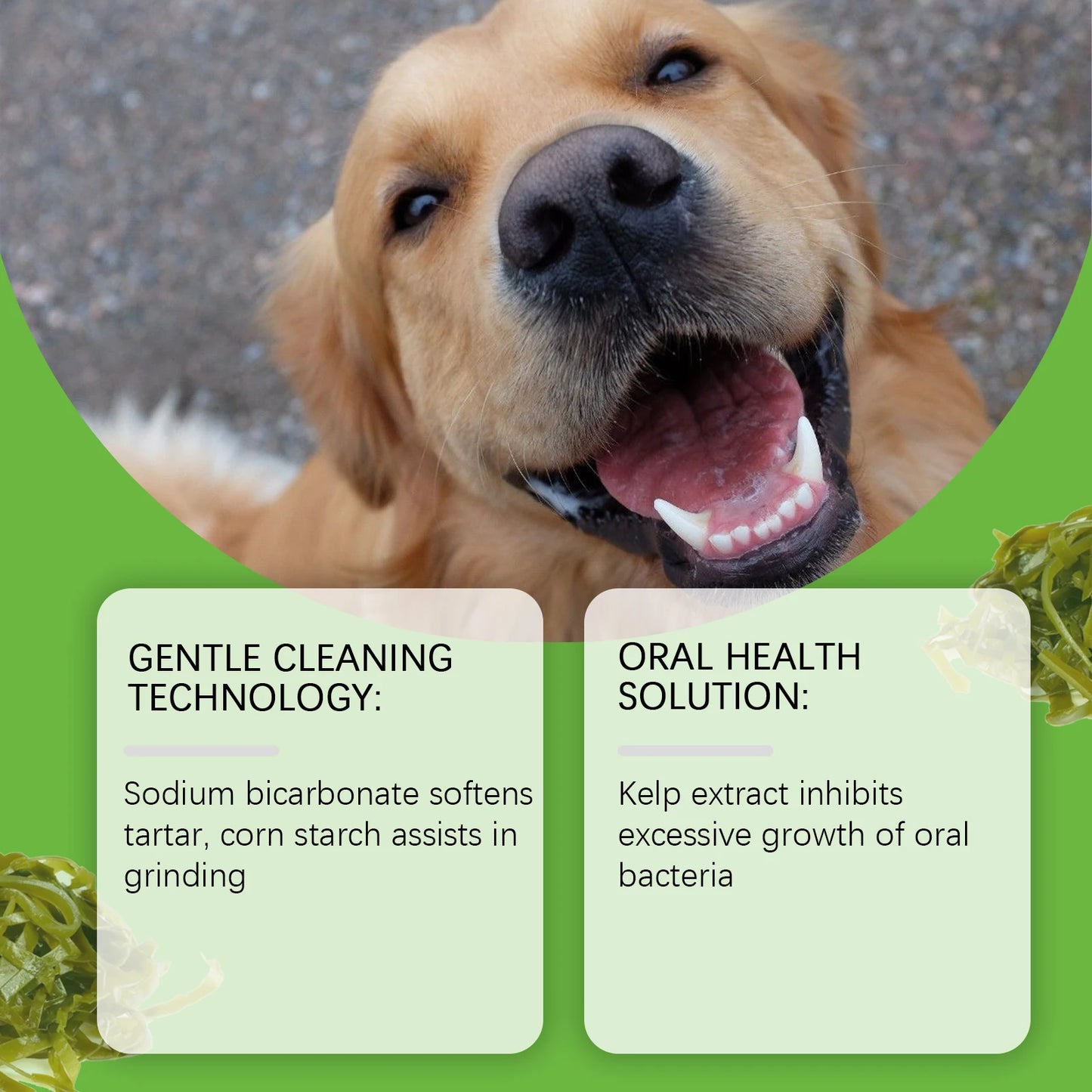 Yegbong Dog-Specific Teeth Cleaning Powder – Freshens Breath, Prevents Oral Diseases,Non-Irritating, Suitable for Sensitive Gums
