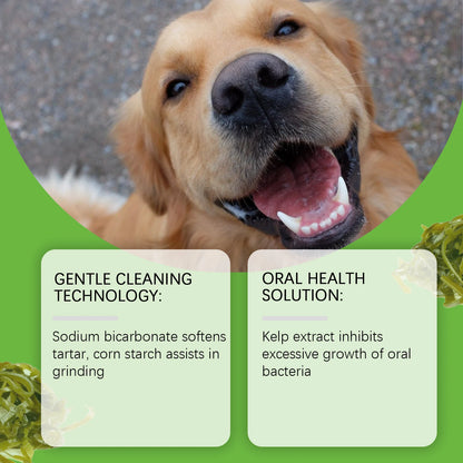 Yegbong Dog-Specific Teeth Cleaning Powder – Freshens Breath, Prevents Oral Diseases,Non-Irritating, Suitable for Sensitive Gums