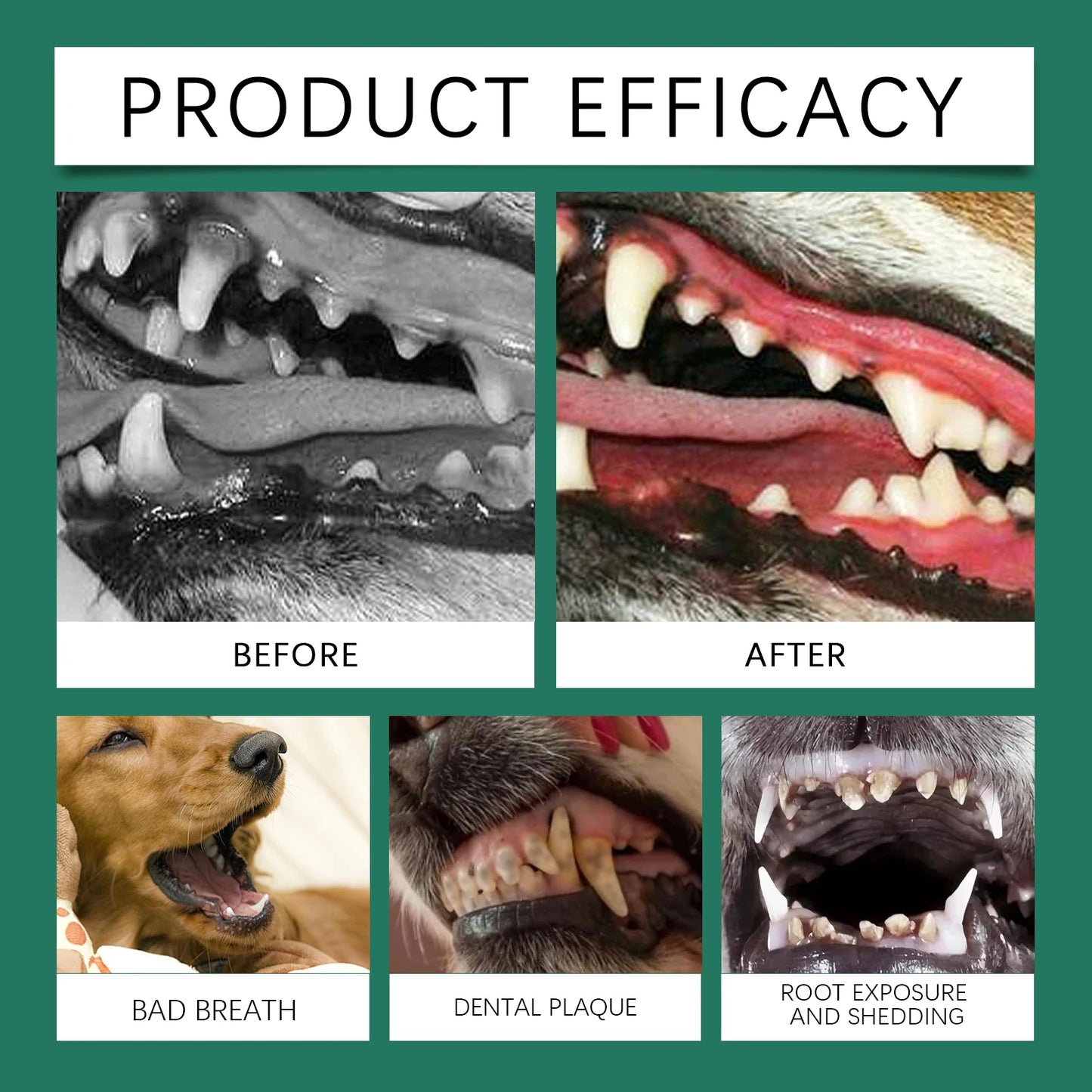 Dog Teeth Cleaning Powder Gentle Remove Tartar Plaque Calculus Freshen Breath Strengthen Protect Gum Health Pet Oral Care Powder