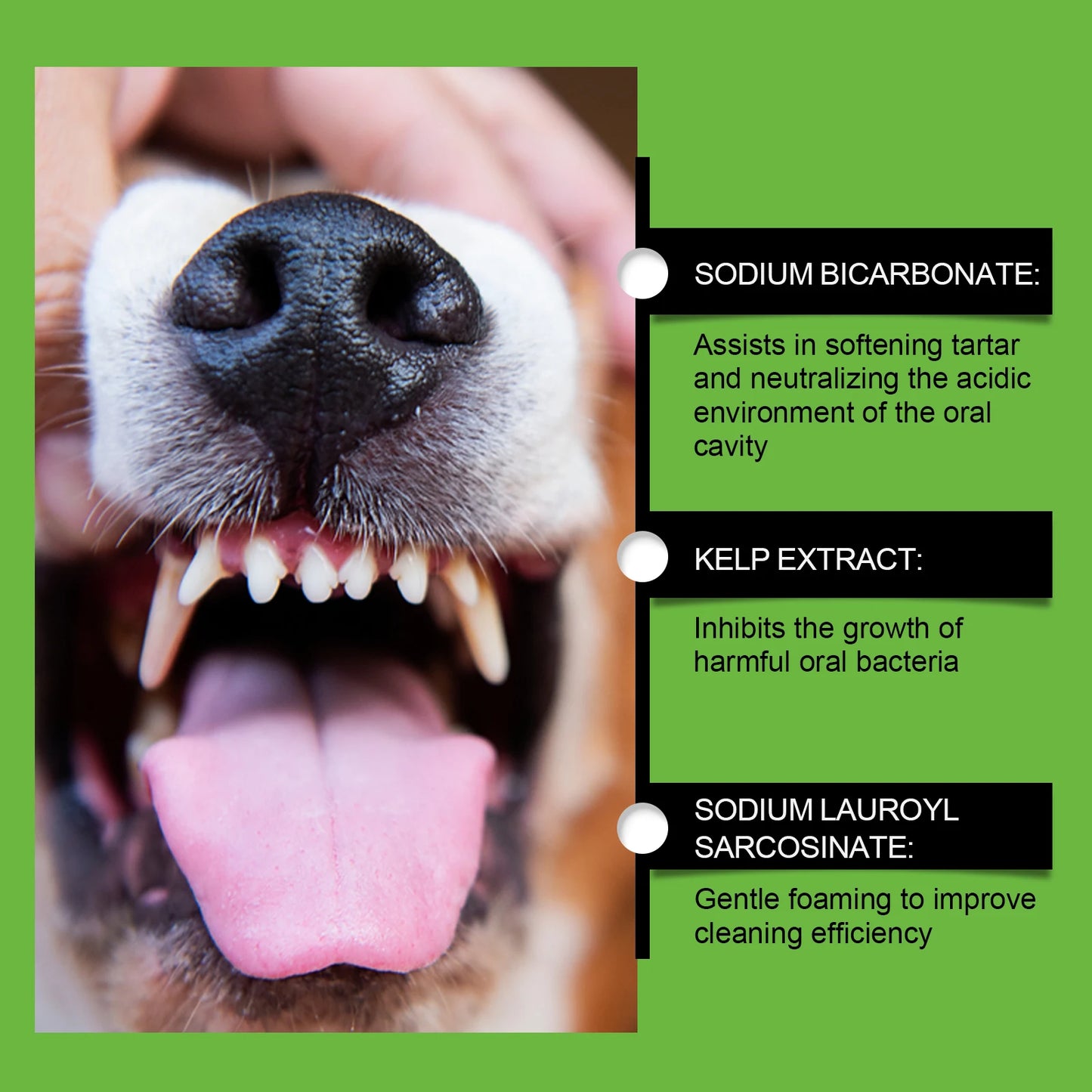 Yegbong Dog-Specific Teeth Cleaning Powder – Freshens Breath, Prevents Oral Diseases,Non-Irritating, Suitable for Sensitive Gums